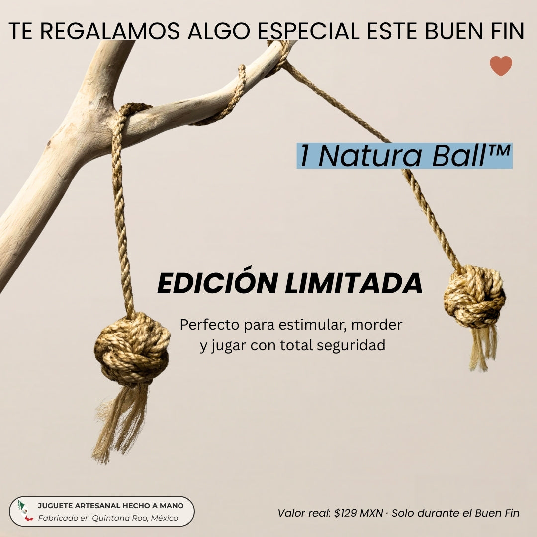Natura Ball™ – Edición Buen Fin (Regalo)