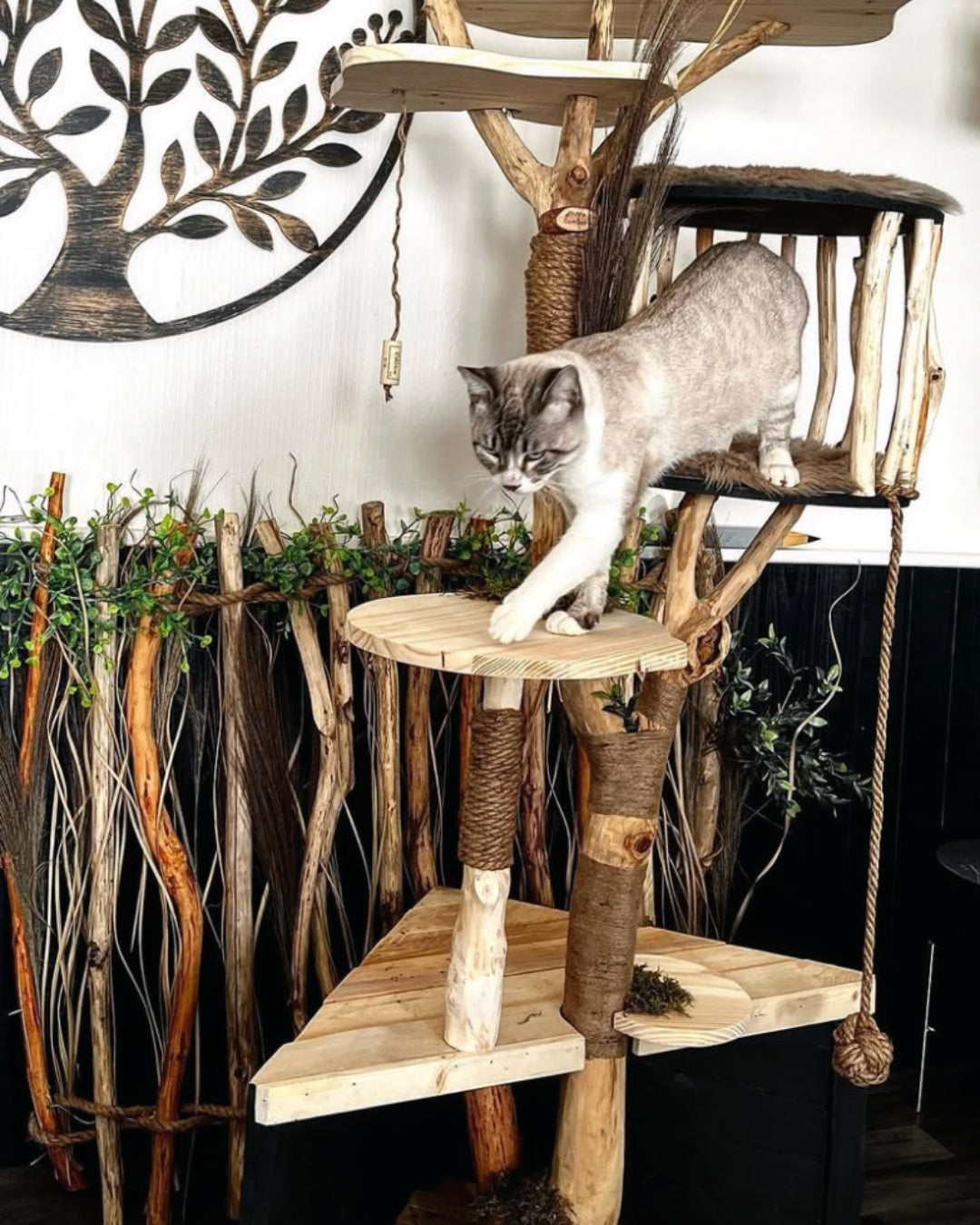 EL ÁRBOL ESPUMA