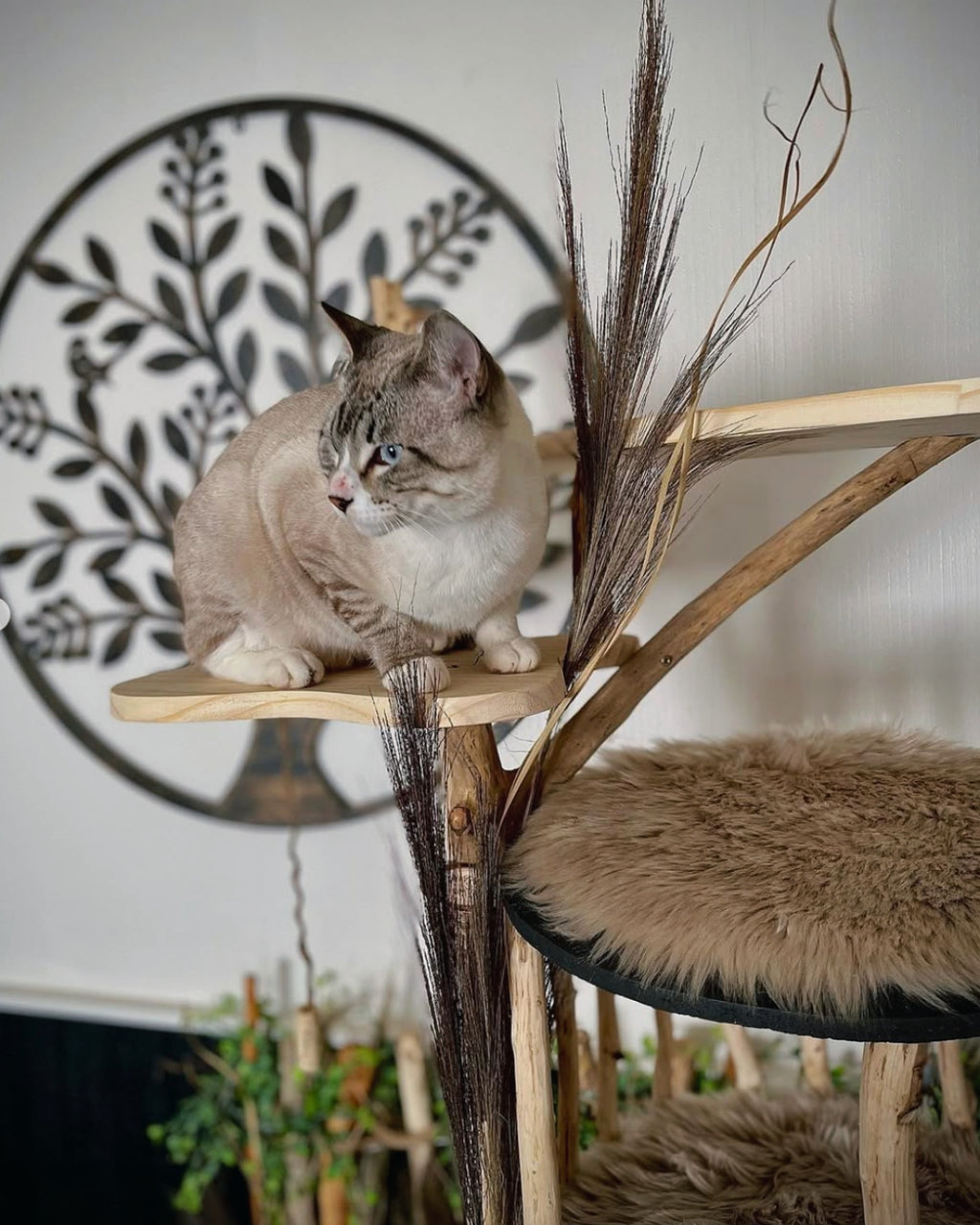 EL ÁRBOL ESPUMA