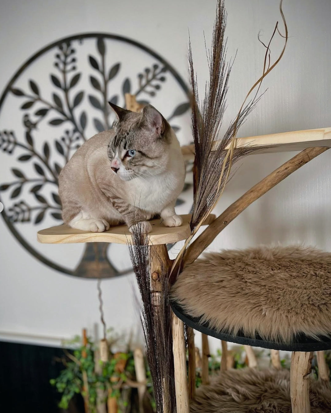 EL ÁRBOL ESPUMA