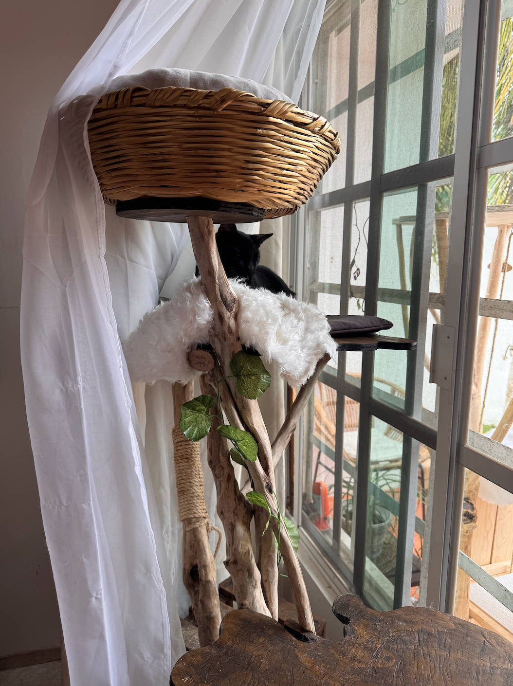 Él árbol enamorado