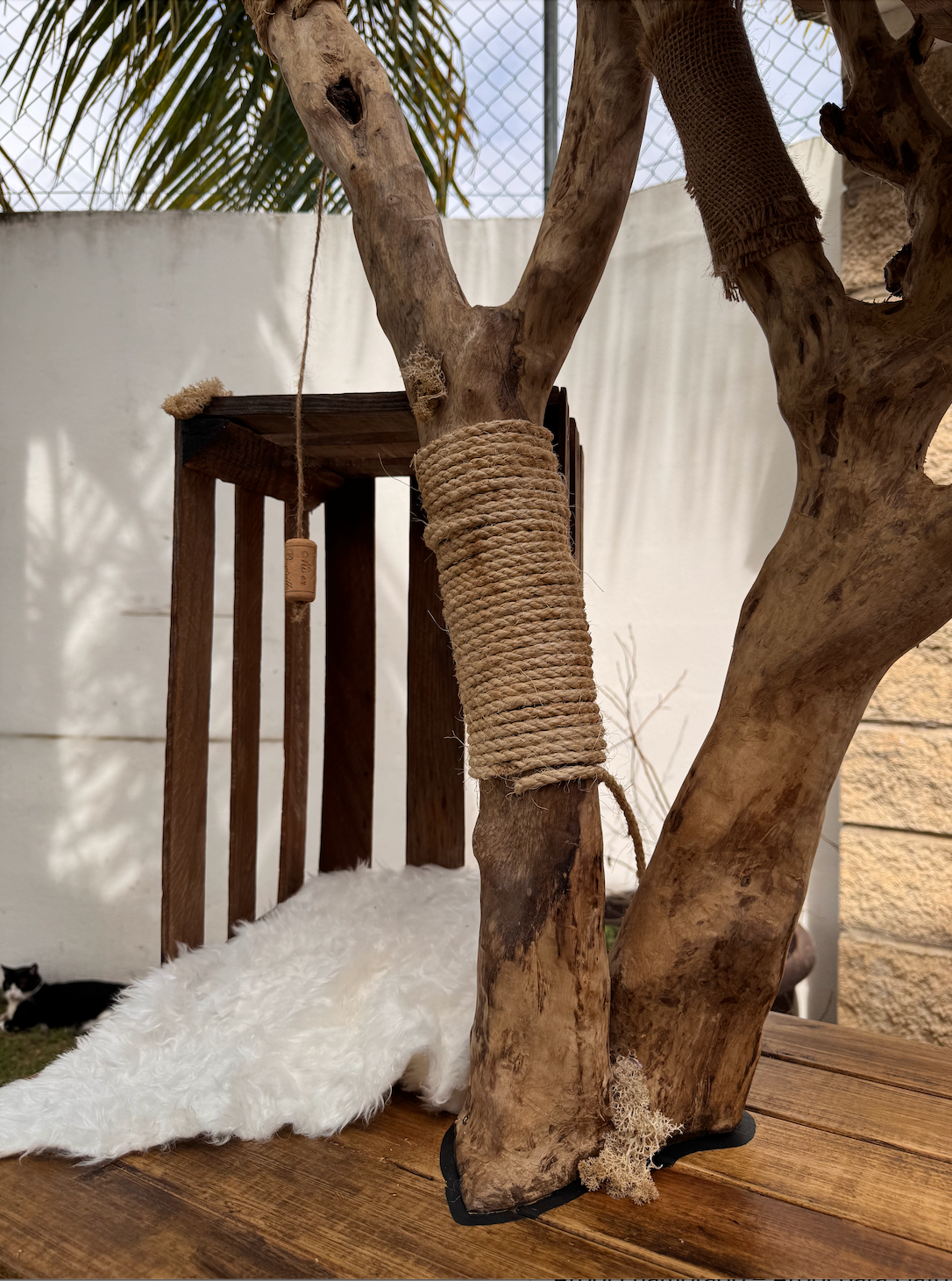 Él árbol enamorado