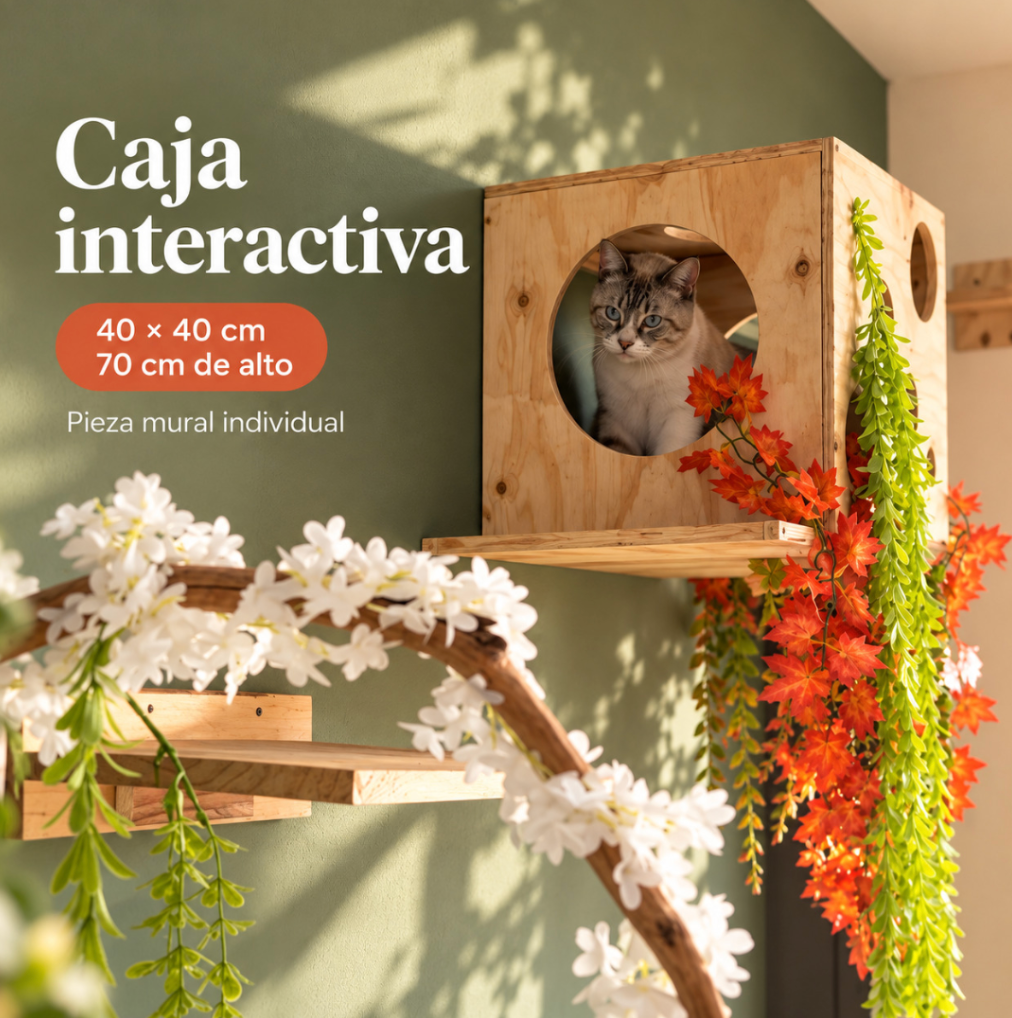 Caja interactiva