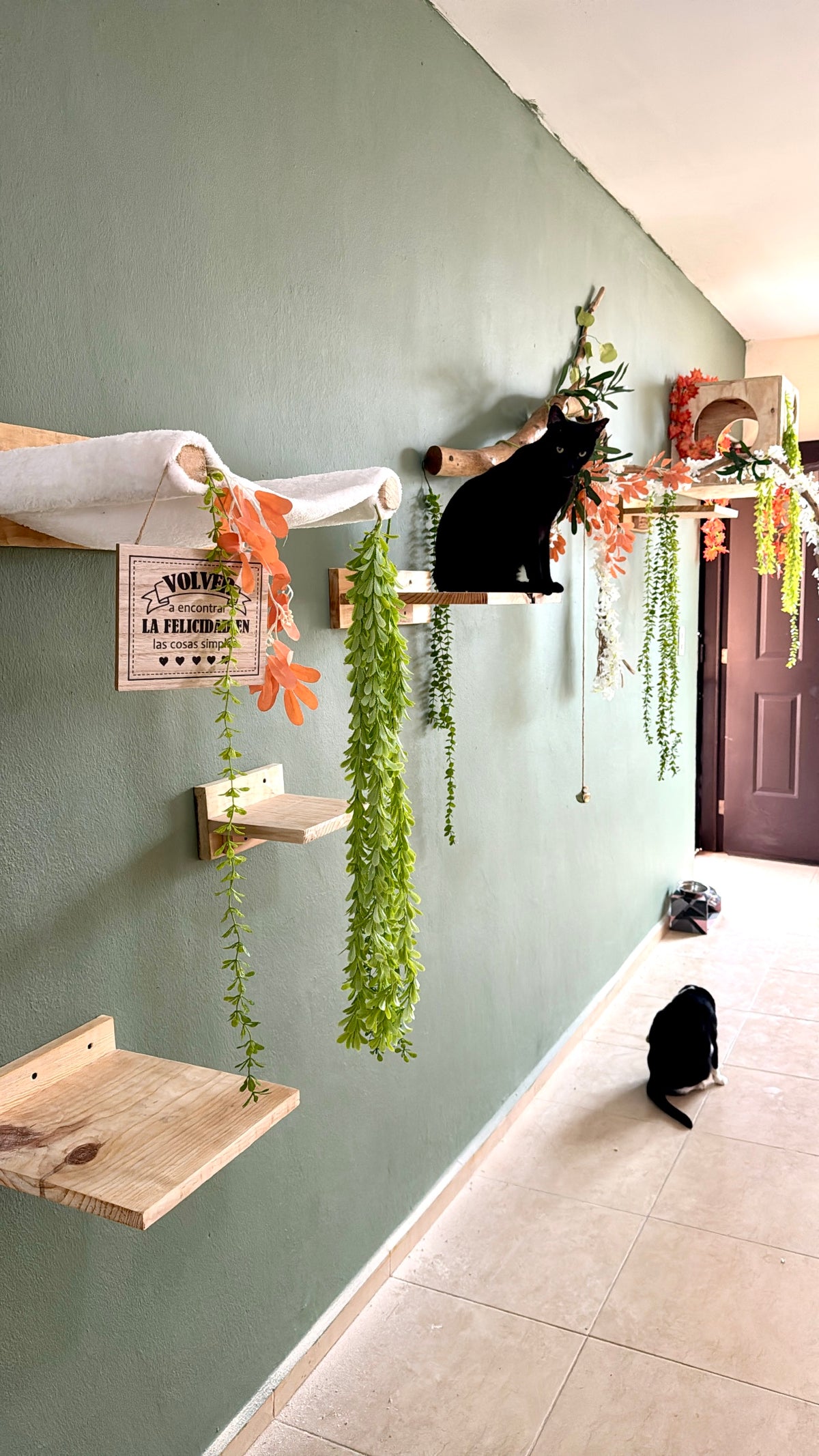 BALAM - Gimnasio mural modular para gatos