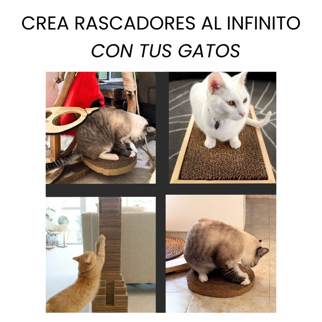 Corta Carton