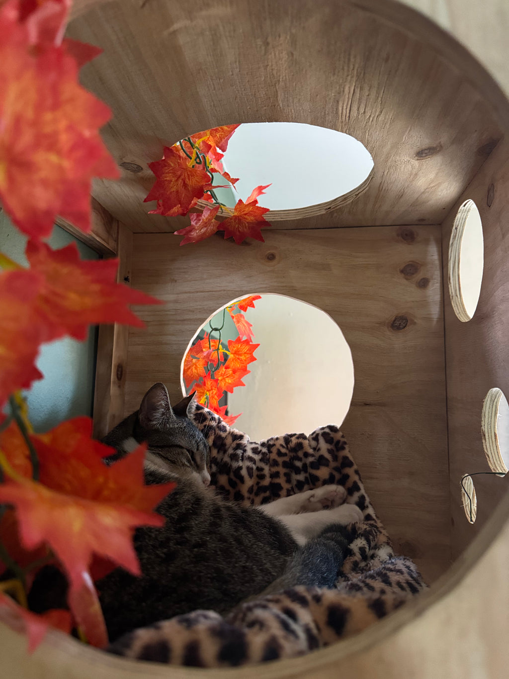 BALAM - Gimnasio mural modular para gatos