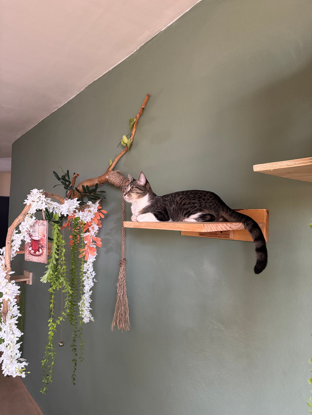 BALAM - Gimnasio mural modular para gatos