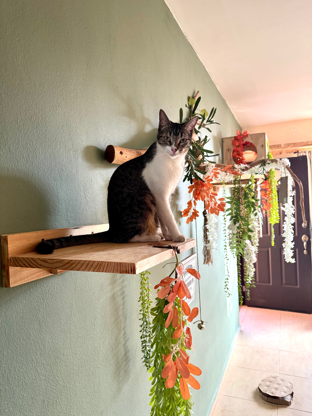 Mesas murales para gatos | HappySha