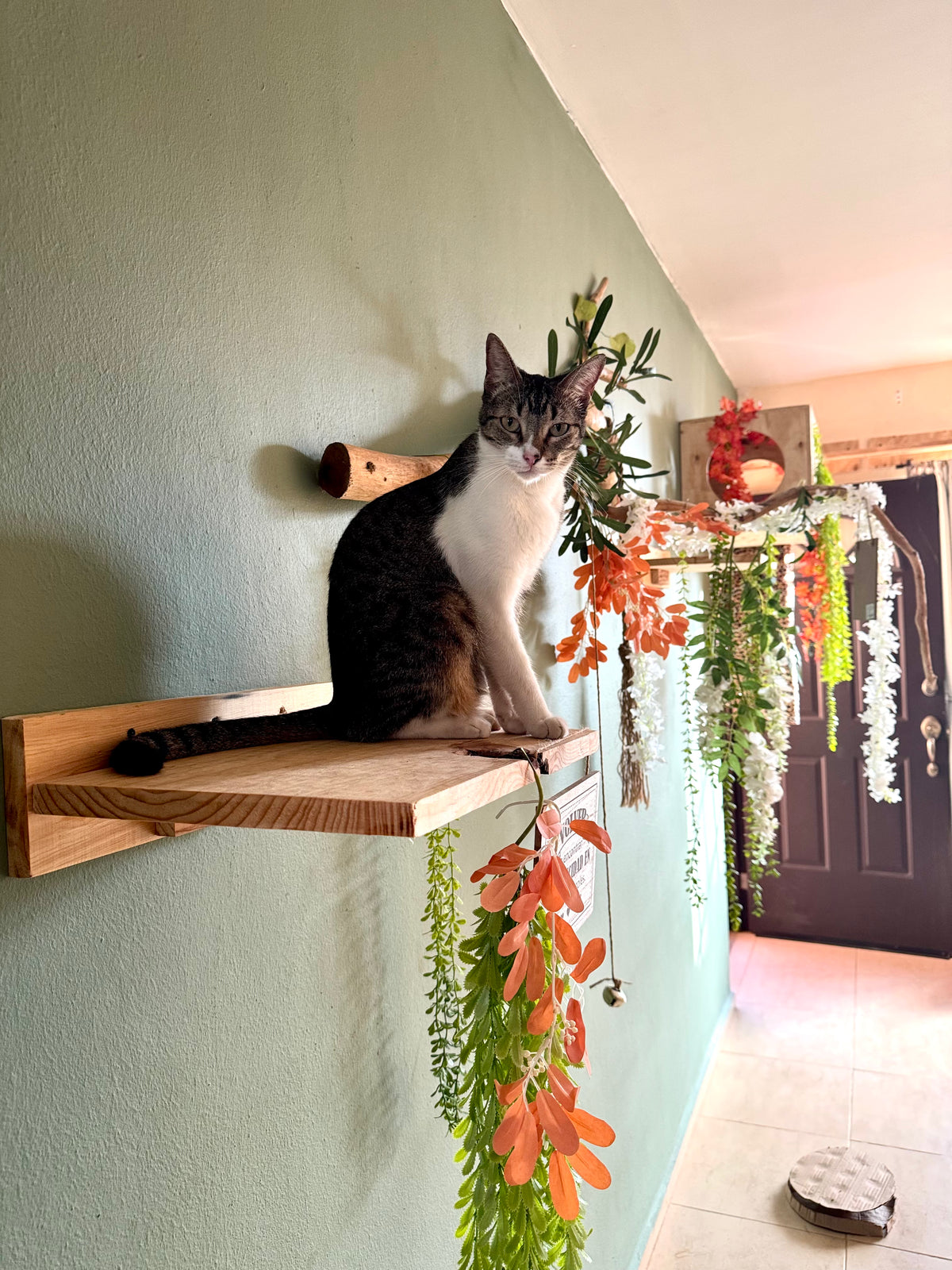 Mesas murales para gatos | HappySha