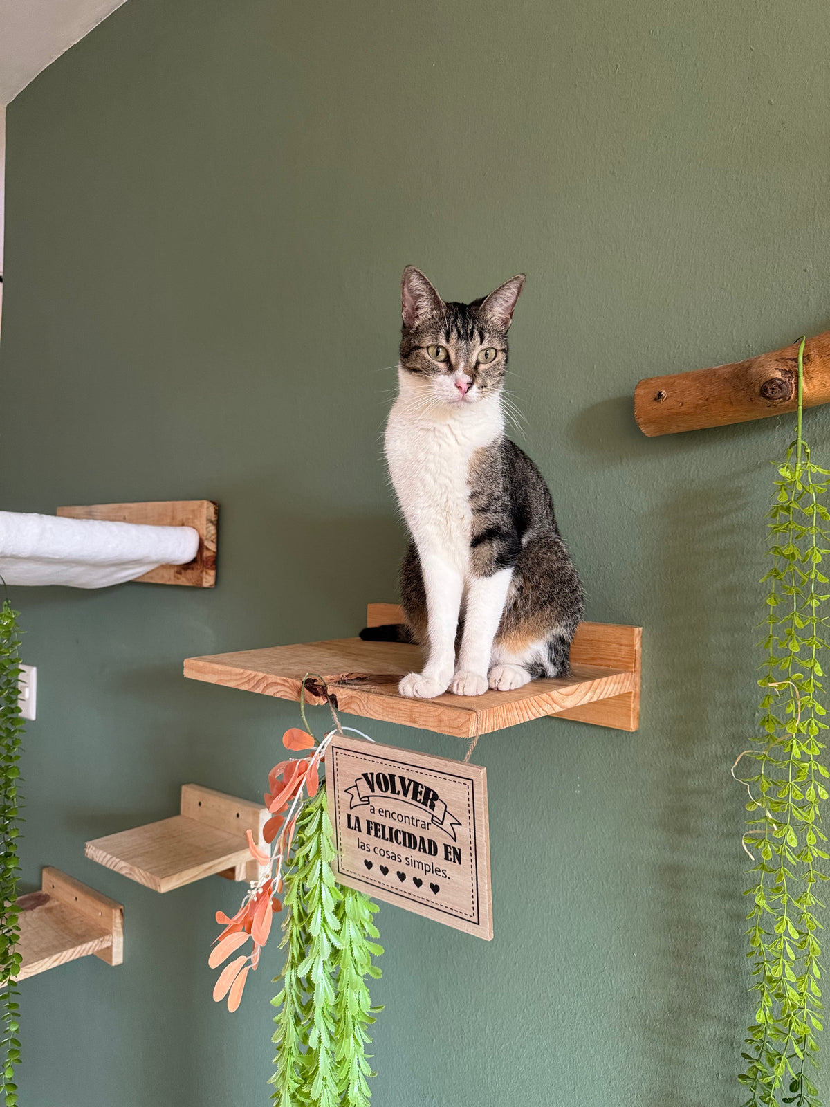Mesas murales para gatos | HappySha