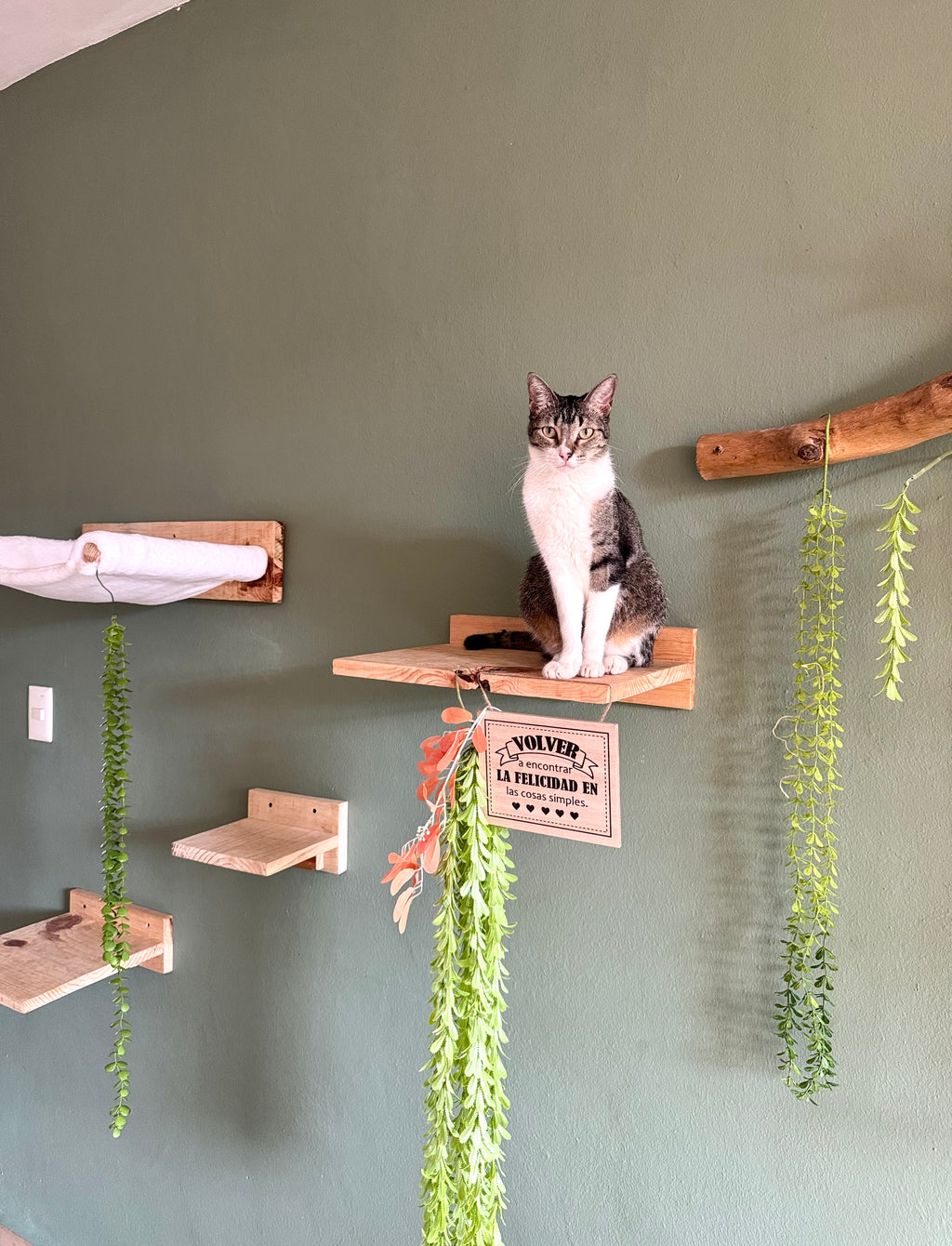 Mesas murales para gatos | HappySha