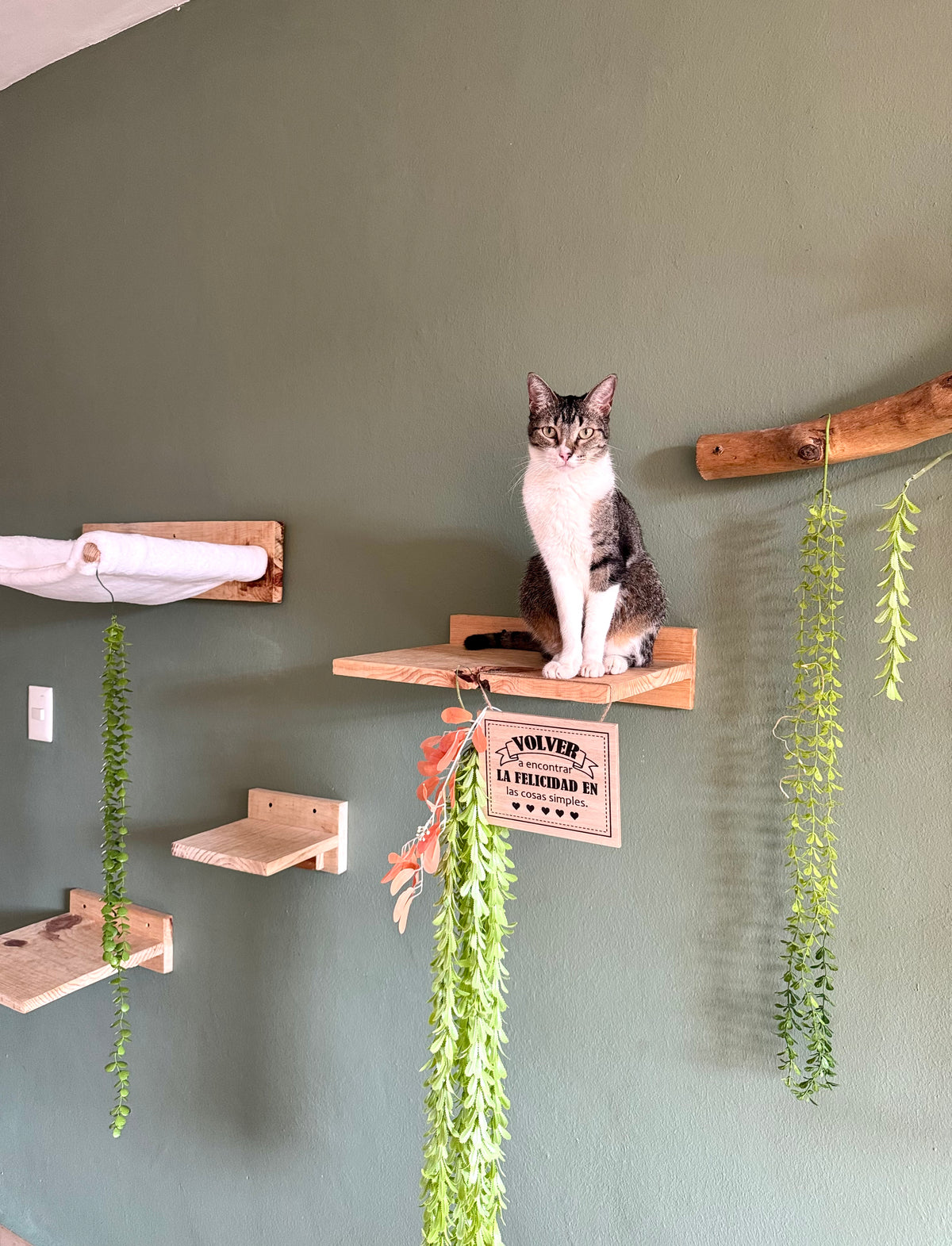 Mesas murales para gatos | HappySha