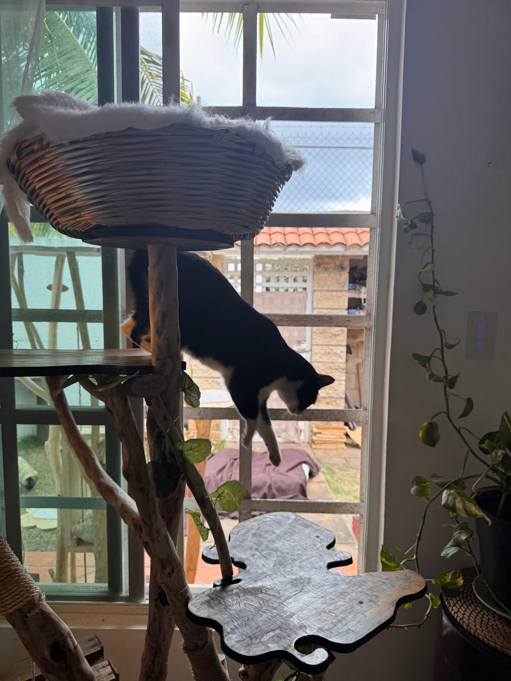 Él árbol enamorado