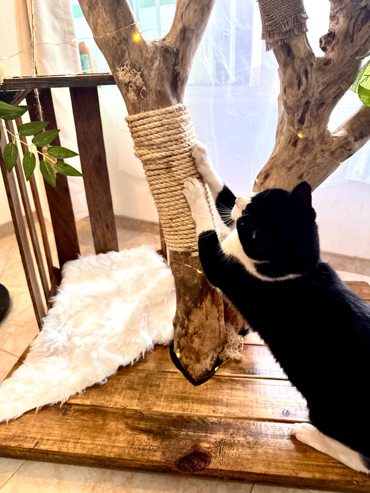 Él árbol enamorado