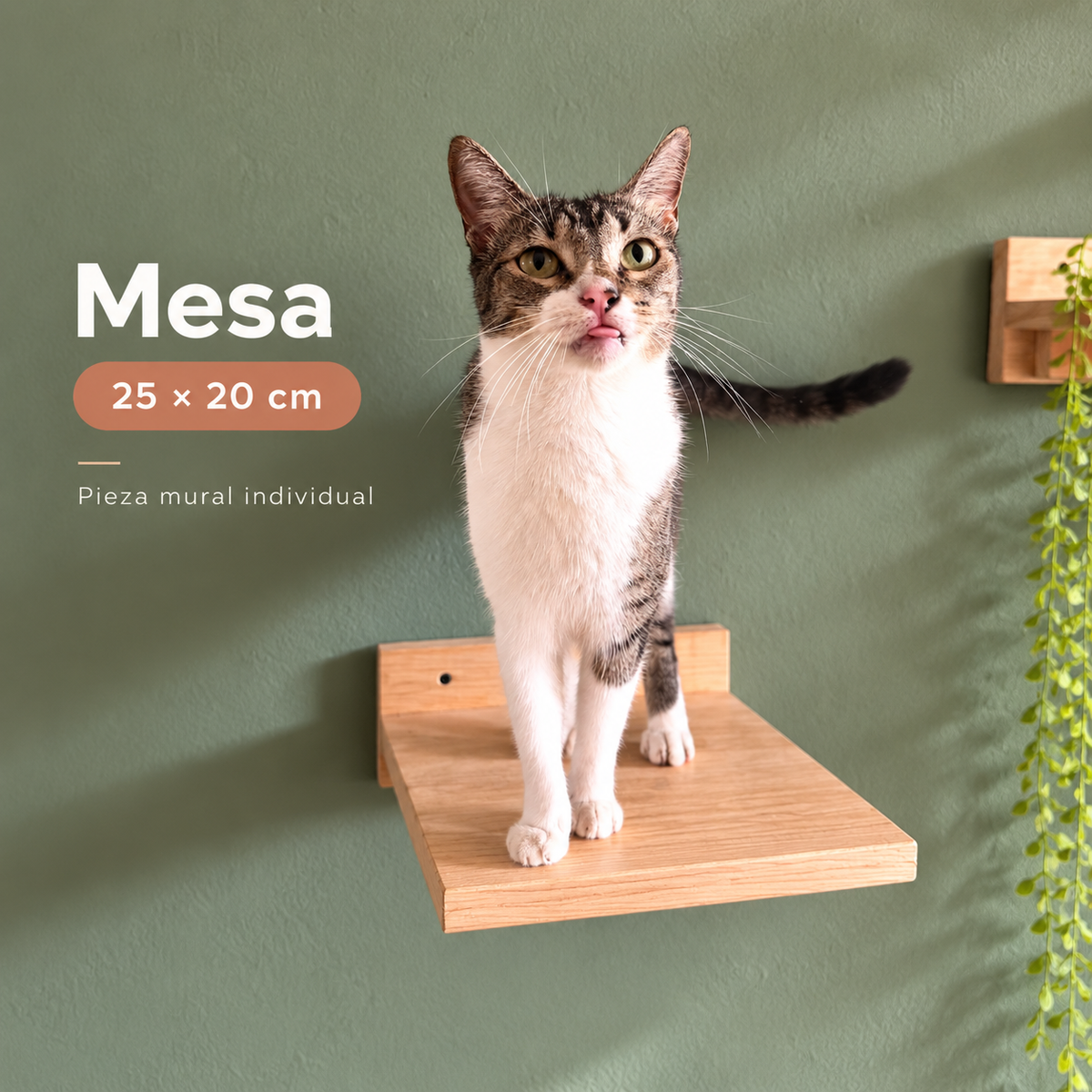 Mesa mural de madera natural