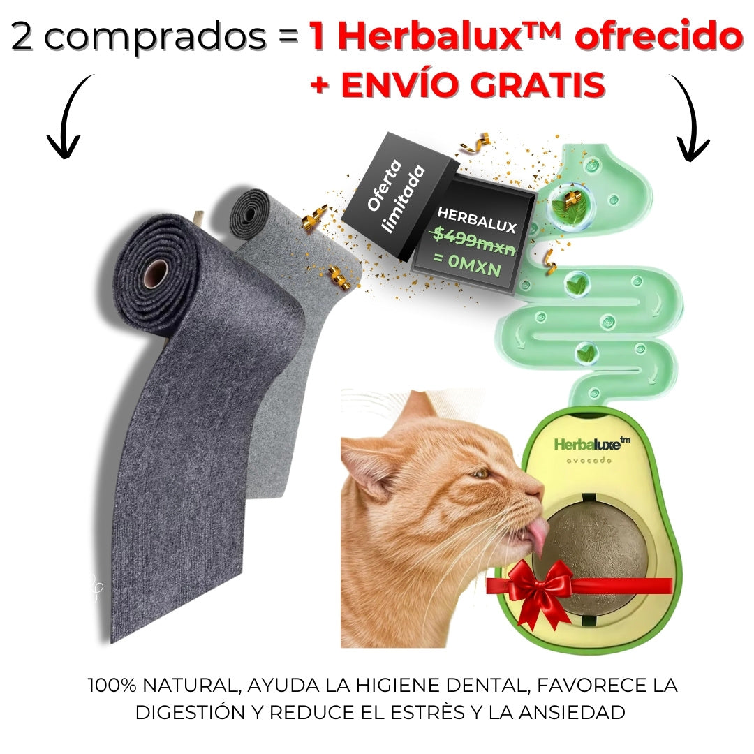 RascaSofa™ de luxe