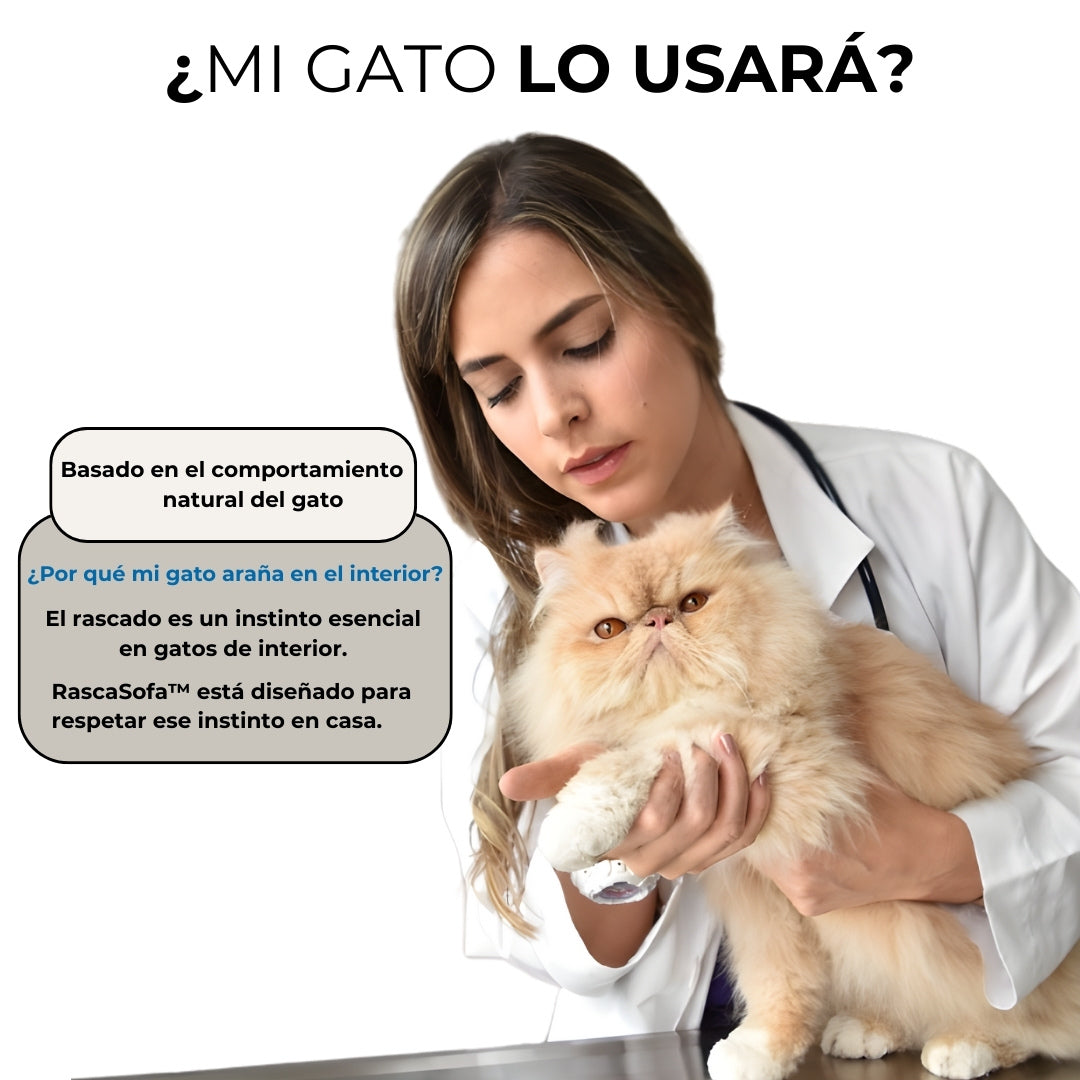 RascaSofa™ de luxe