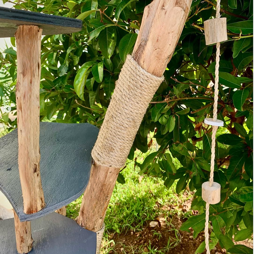 EL ÁRBOL MÚUYAL